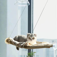 Chat gris confortablement installé dans un hamac de fenêtre avec ventouses offrant une vue panoramique