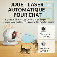 Jouet laser automatique pour chat – Illustration des différentes trajectoires circulaires selon le placement (bureau ou vitre) – Deux chatons jouent avec le faisceau – Au Paradis du Chat