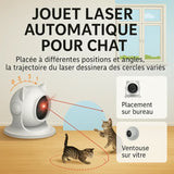 Jouet laser automatique pour chat – Illustration des différentes trajectoires circulaires selon le placement (bureau ou vitre) – Deux chatons jouent avec le faisceau – Au Paradis du Chat