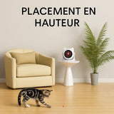 Jouet laser automatique pour chat – Positionné en hauteur sur une table pour un faisceau optimal – Chaton jouant avec le point lumineux au sol – Au Paradis du Chat