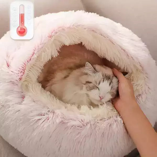Chat dans son couchage chaud pour bien passer l'hiver