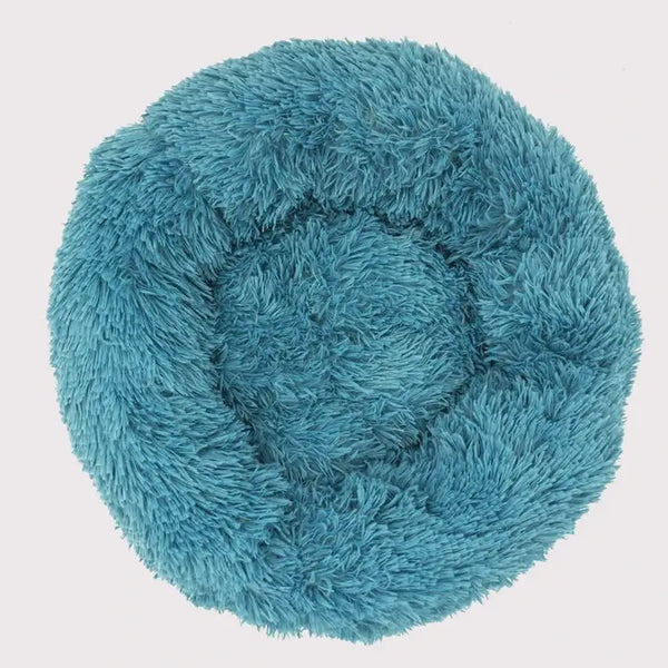 Présentation du lit en peluche pour chat bleu