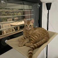 Chat tigré brun allongé sur le hamac de fenêtre