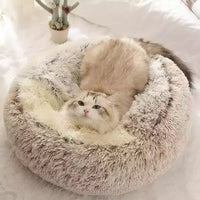 Minou allongé sur notre lit semi-fermé en peluches