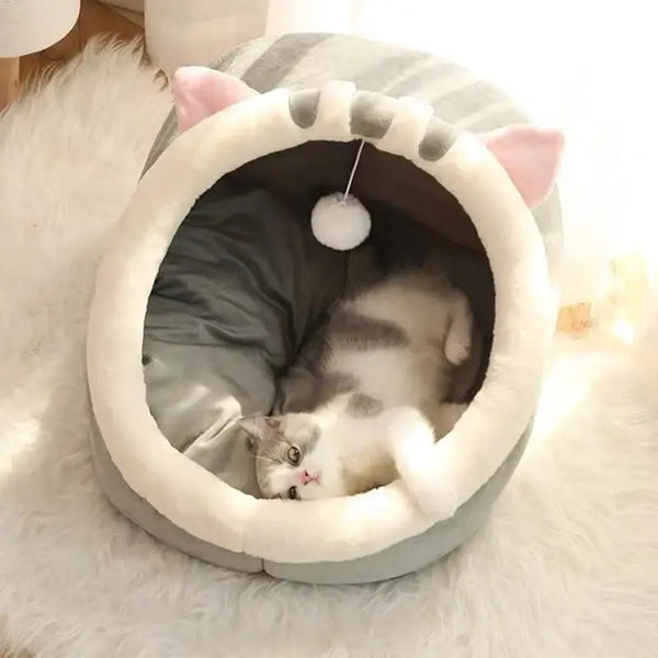 Chat allongé dans son lit confortable