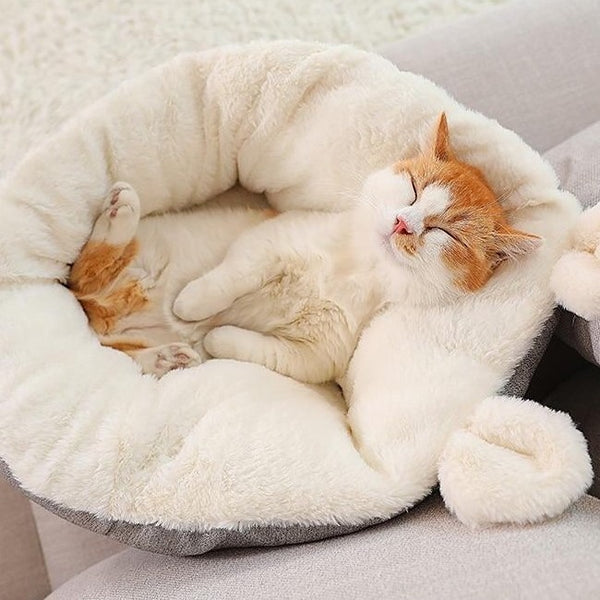 Chat qui dort à poing fermé dans une position insolite dans son panier