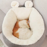 Chat confortablement allongé en position fœtale dans son panier