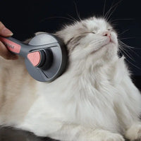 Chat profitant d'un moment de plaisir pendant le toilettage avec un peigne de toilettage rose