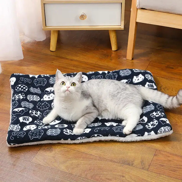 Chat gris allongé sur un tapis moelleux motif têtes de chat – Confort optimal pour l’hiver – Au Paradis du Chat