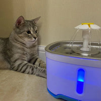 Chat allongé à côté de notre fontaine à eau silencieuse
