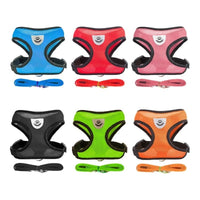 Harnais pour chat confortable et laisse - 6 couleurs : Bleu, Rouge, Rose, Noir, Vert et Orange