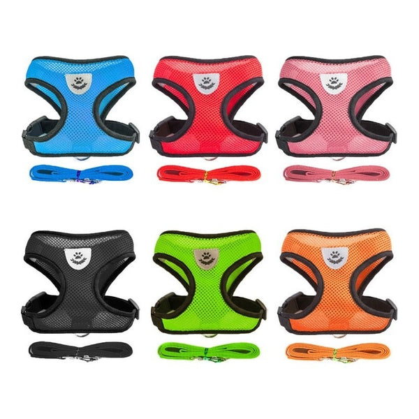 Harnais pour chat confortable et laisse - 6 couleurs : Bleu, Rouge, Rose, Noir, Vert et Orange