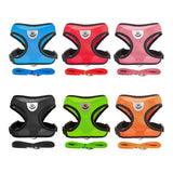 Harnais pour chat confortable et laisse - 6 couleurs : Bleu, Rouge, Rose, Noir, Vert et Orange