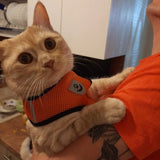 Harnais pour chat confortable et laisse - Présentation côté buste Orange