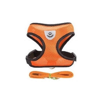Harnais pour chat confortable et laisse - Orange
