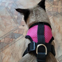 Harnais pour chat confortable et laisse - Présentation côté dos Rose