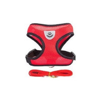 Harnais pour chat confortable et laisse - Rouge