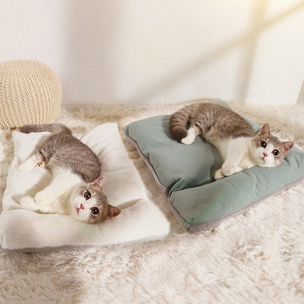2 chats allongés sur les coussins de la tente pour chat confortable